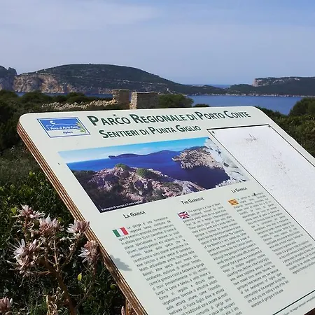 Πανσιόν Damarilu Αλγκέρο